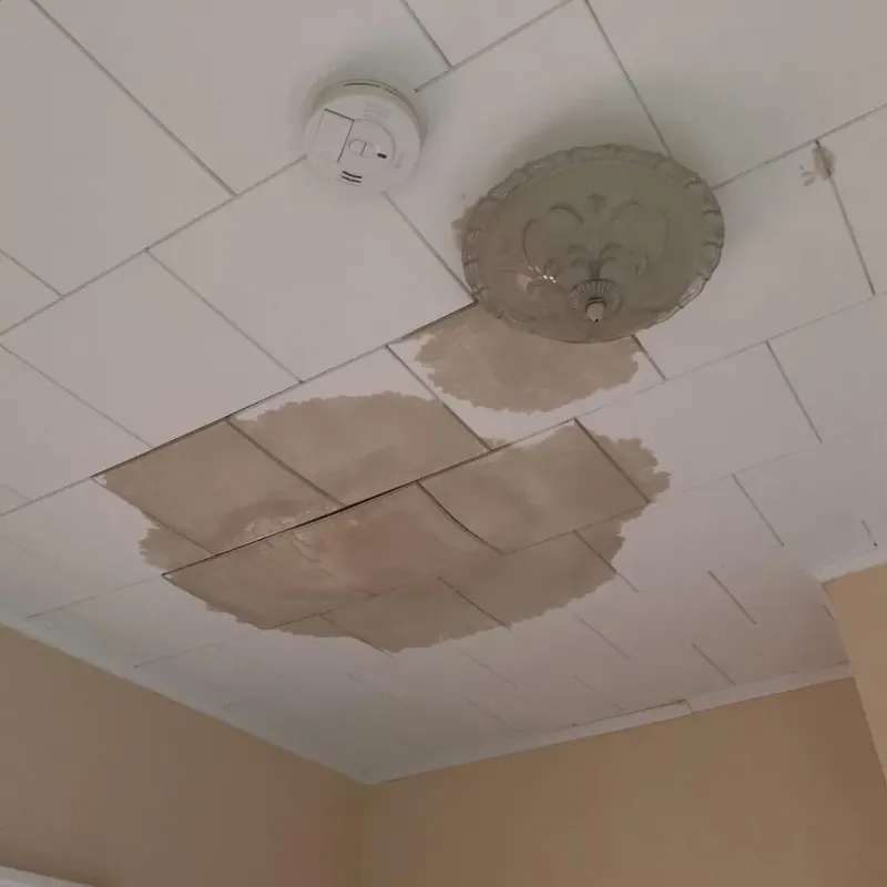 Ceiling Water Damage Repair in Potter County, SD