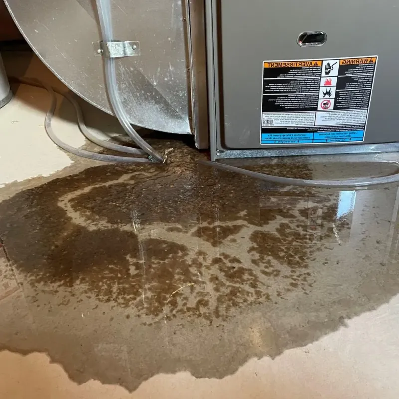 Pipe Burst and Leak Restoration in Potter County, SD