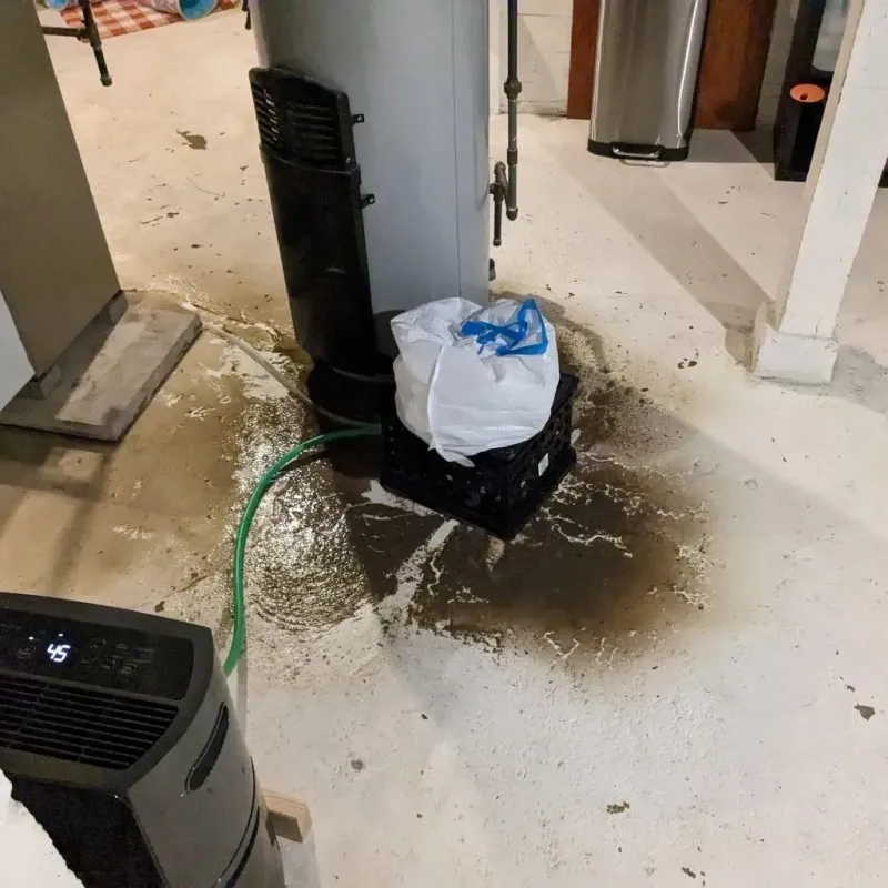 Sewage Backup Cleanup Service in Potter County, SD